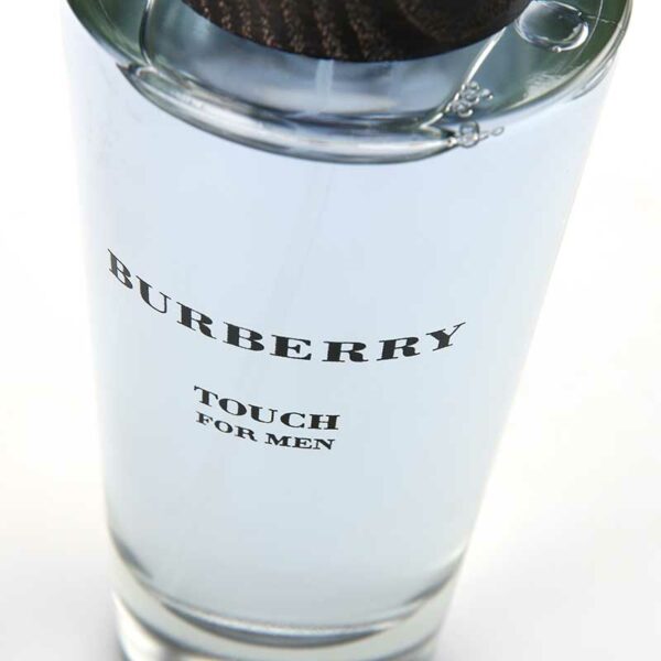 burberry-touch-for-men-homme-eau-de-toilette-100-ml-elegance-parfum