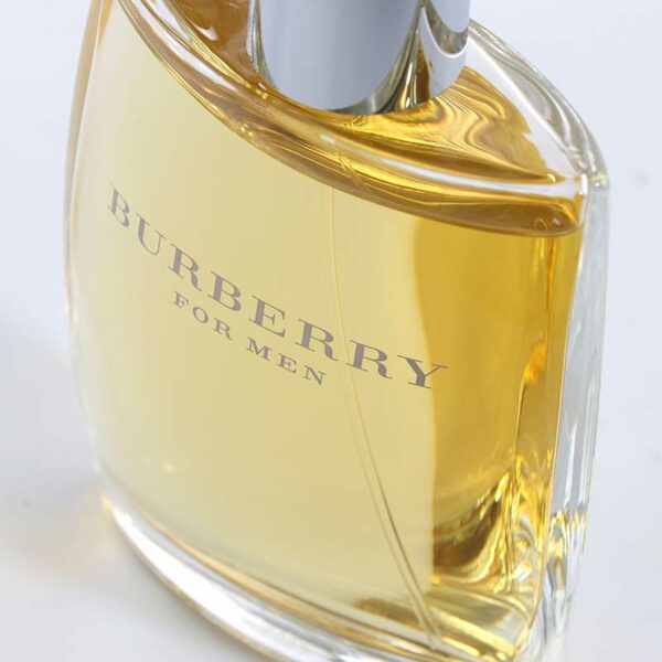 burberry-for-men-homme-eau-de-toilette-100-ml-elegance-parfum