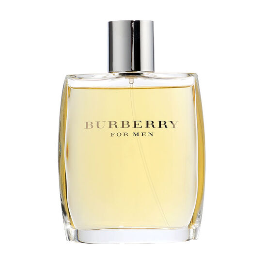 burberry-for-men-homme-eau-de-toilette-100-ml-elegance-parfum