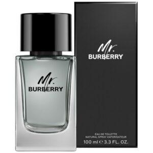 burberry-mr-burberry-homme-eau-de-toilette-100-ml-elegance-parfum